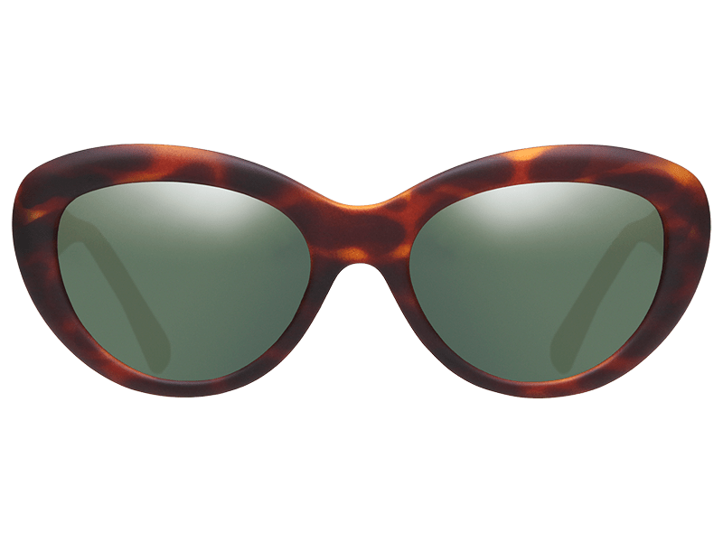 The Dillan - Sunglasses in Matte Brown Tortoise Shell #matte-brown-tortoise-shell