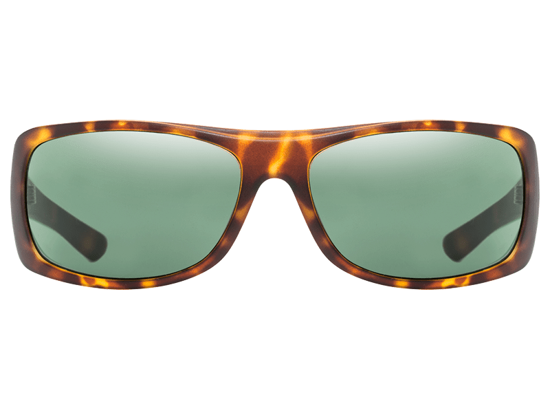 The Carbo - Sunglasses in Matte Tortoise Shell Gold #matte-tortoise-shell-gold