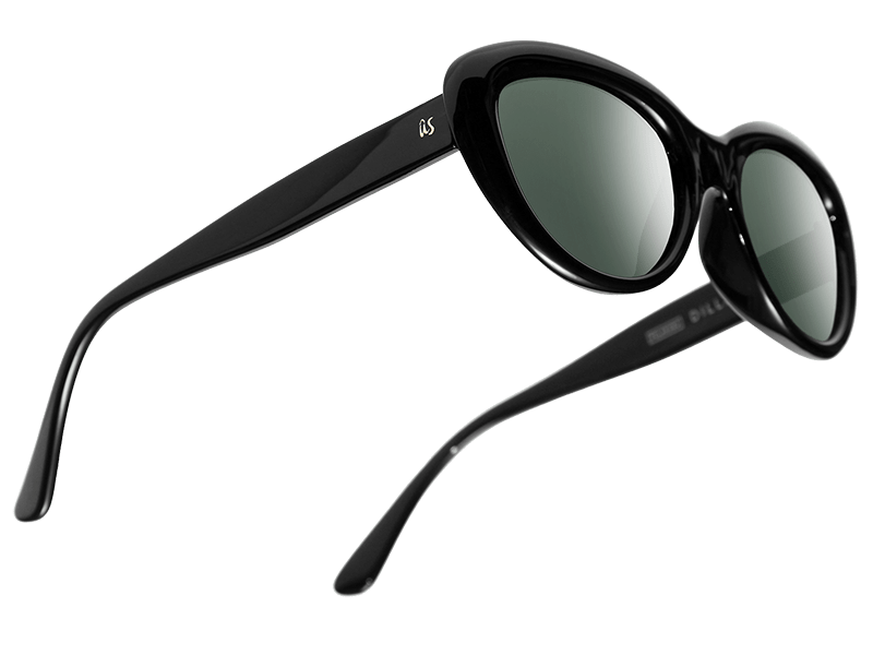 The Dillan - Sunglasses in Gloss Black #gloss-black