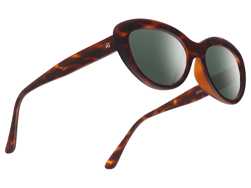 The Dillan - Sunglasses in Matte Brown Tortoise Shell #matte-brown-tortoise-shell