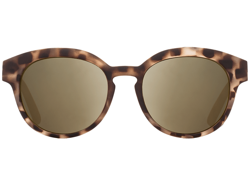 The Nathi - Sunglasses in Matte Tortoise Shell Gold Chrome #matte-tortoise-shell-gold-chrome
